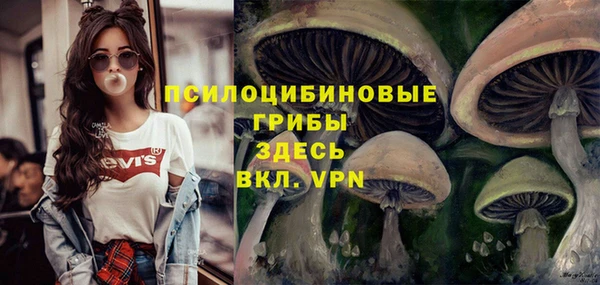 Альфа ПВП Навашино